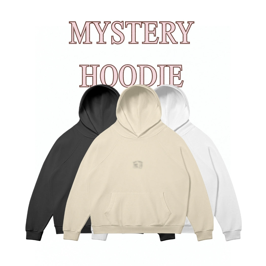 Mystery Embroidered Hoodie