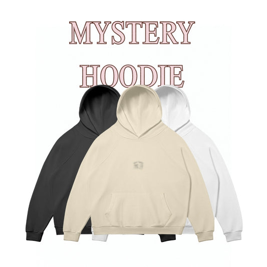 Mystery Embroidered Hoodie